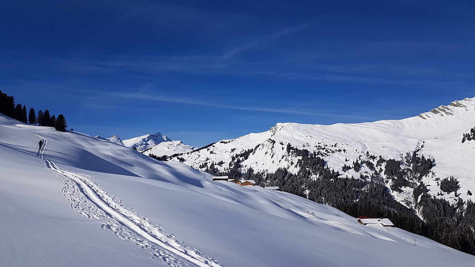 09_12. Feb 22_G Skitour Walighuerli (129).jpg